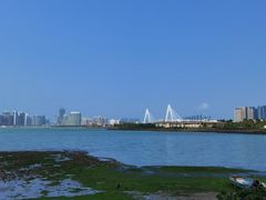 -万绿园