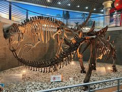 -国家自然博物馆