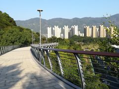 -牛岗山公园