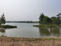 -东郊湿地公园