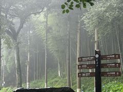 -莫干山风景区
