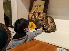 -猫小院猫主题餐厅(三里屯店)