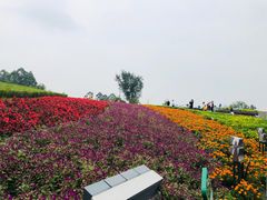-九锅一堂酸菜鱼(新南凯德直营店)