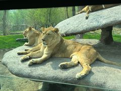 -北京野生动物园