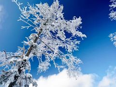 -哈尔滨热雪奇迹