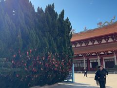 -莆田湄洲妈祖祖庙