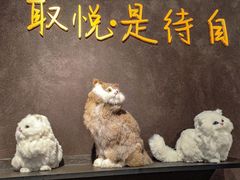 -黄晓猫剁椒大鱼头(海岸城店)