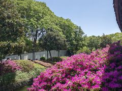 -蠡湖大桥公园
