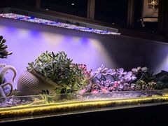 -街角等你.大连海鲜烧烤(西安路店)