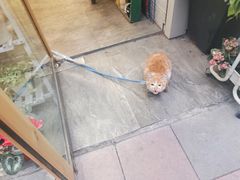 -牛八秒油泼冒菜(宽窄巷子店)