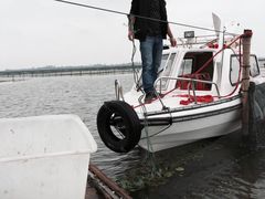 -渔娘蟹庄(阳澄湖莲花岛店)