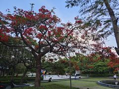 -三妹小龙虾·黄油蟹(华侨城总店)