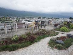 -唐咖精品咖啡(大理古城手冲店)