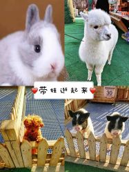 -萌宠亲子动物乐园(槐房万达店)