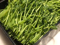 活体豆苗-煲宫猪肚鸡(晶品店)
