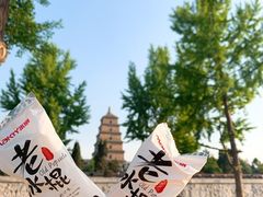 -大雁塔北广场音乐喷泉