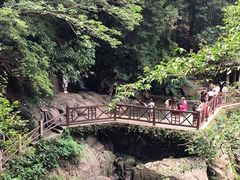 -莫干山风景区