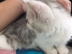 -佳雯宠物医院·皮肤科·内外科(春晓路分院)