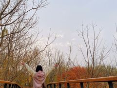 -东郊湿地公园