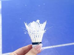 -羽跃羽毛球馆(民星路店)