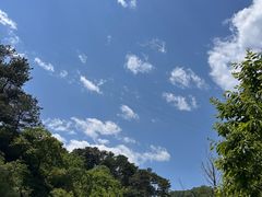 -京北渔家傲