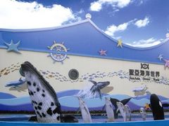 -大连圣亚海洋世界