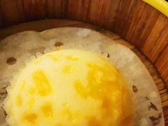 -佛山顺德香云纱园林酒店(清晖园店)