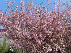 -云漫湖生态度假公园