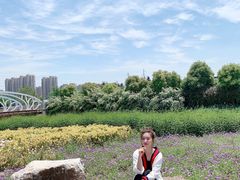 -菊园百果园