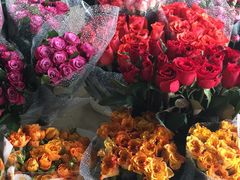 -三圣花乡旅游区