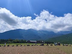 -玉湖村