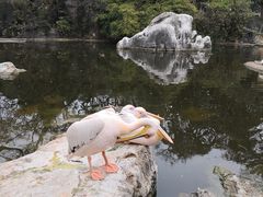 -昆明动物园