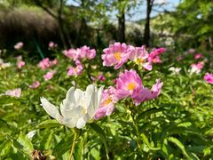 -萨尔浒风景区