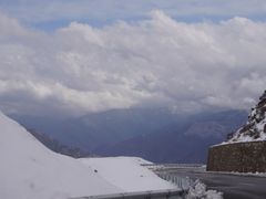 -TREK崔克自行车(徐汇滨江店)