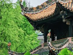 -青羊宫
