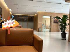 -XPEL旗舰店·汽车贴膜·隐形车衣·改色贴膜