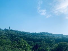 -苏州上方山国家森林公园