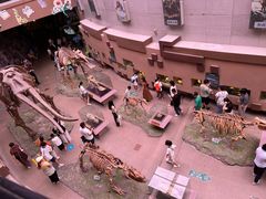 -陕西自然博物馆