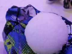 -世界之窗阿尔卑斯冰雪世界