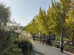-郑州植物园