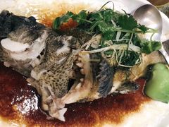 -北海渔村酒楼·粤菜海鲜点心(新华店)