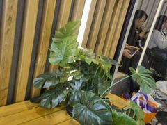 -霸王茶姬(正佳广场店)