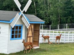 -长白山万达锦华套房酒店