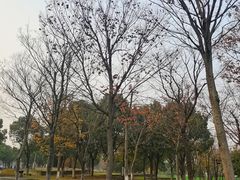 -东钱湖旅游度假区