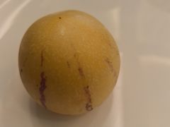 -金粤九号(李公堤店)