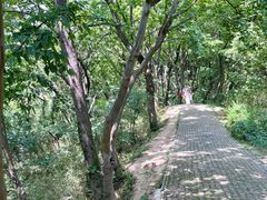 -苏州上方山国家森林公园