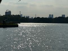 -海珠湖公园
