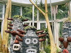 -深圳仙湖植物园