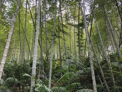 -千泷沟大瀑布旅游区