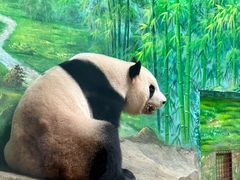 -灵玲国际马戏城
